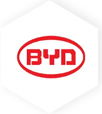 brand (14)